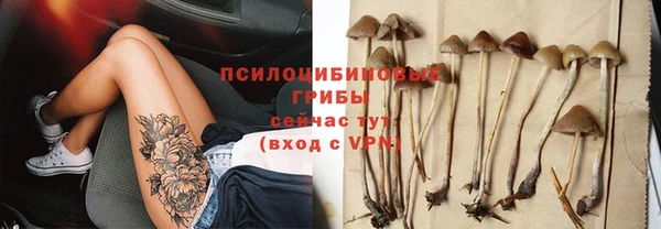 spice Беломорск