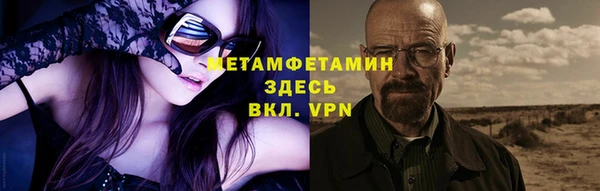шишки Белокуриха