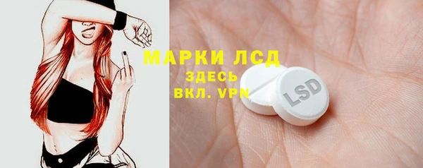 шишки Белокуриха