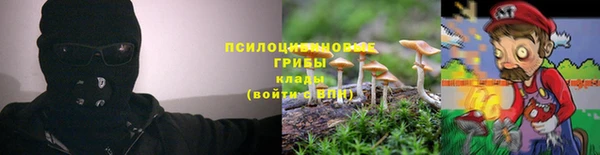 spice Беломорск