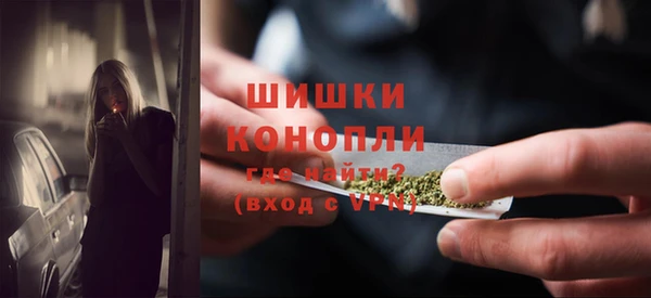 шишки Белокуриха
