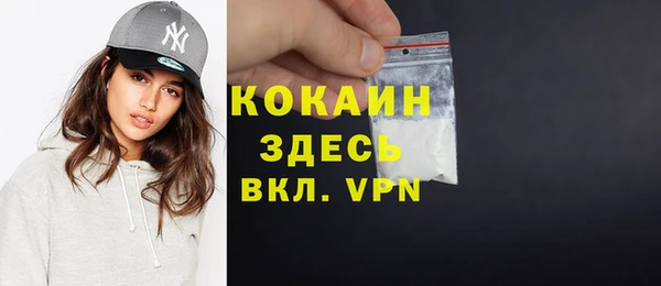 шишки Белокуриха