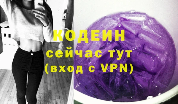 шишки Белокуриха