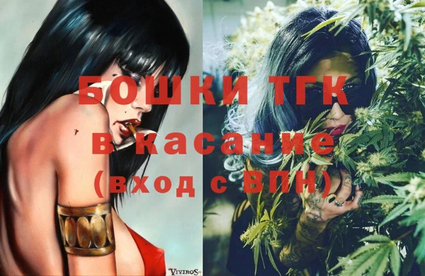 шишки Белокуриха