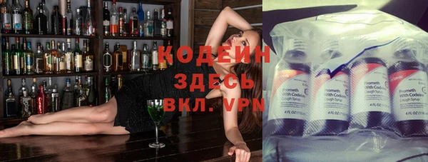шишки Белокуриха