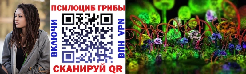 сколько стоит  Сертолово  Галлюциногенные грибы MAGIC MUSHROOMS 